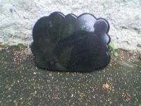 Plaque